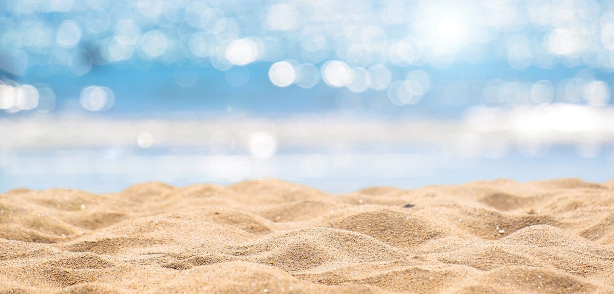 Shutterstock 1363039724 sml